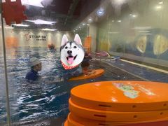 -蓝旗亲子游泳(范湖万达广场店)