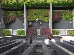 -上海崇明金茂凯悦酒店