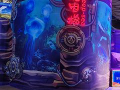 -烟台海昌鲸鲨海洋公园