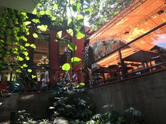 -桃源阁(西樵山店)