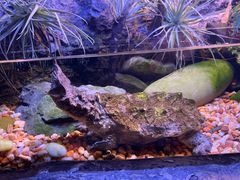 -上海海洋水族馆