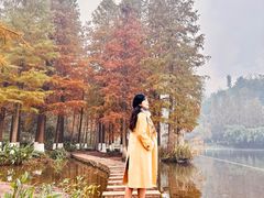 -重庆彩云湖湿地公园