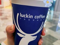 -瑞幸咖啡(水平方店)