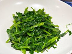 清炒豌豆苗-青梅酒肆PLUS(长白仙岛北路店)