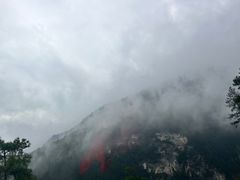 -武陵山森林公园