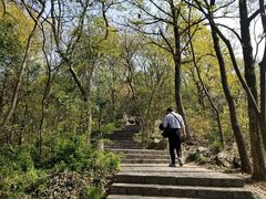 -紫金山山顶公园