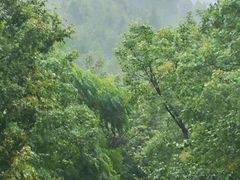 -佛慧山