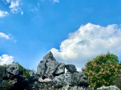 -灵岩山风景区