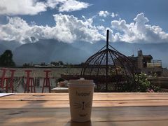 -喵屿·大理花园猫咖