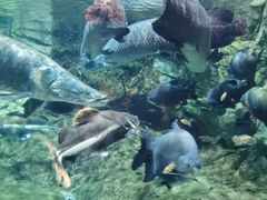 -太平洋海底世界