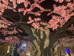 -蓝鲸湾汤泉(包河店)