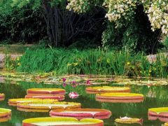 -国家植物园南园