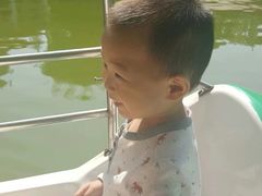 -丰台花园