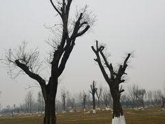 -汉长安城未央宫国家考古遗址公园