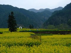 -石潭村
