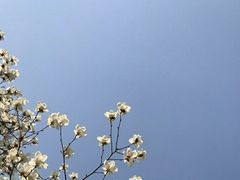-上海市第一人民医院(松江南部)