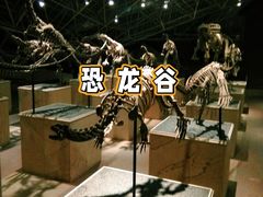 -世界恐龙谷景区