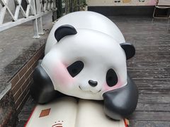 -轩客会(熊猫书店)