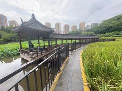 -龙头寺公园