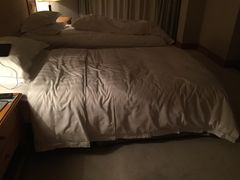 -成都绿洲大酒店(春熙路太古里店)