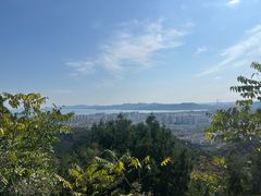 -府君山公园