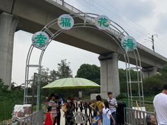 -秀丽东方
