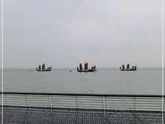 -贡湖湾湿地公园