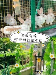 -可可天空农场(中大店)