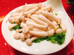 -济南喜来登酒店-采悦轩中餐厅