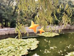 -八大关景区