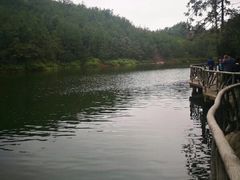 -浏阳石牛寨风景区