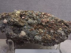 -湖南省地质博物馆