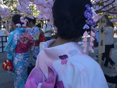 -东京浅草和服体验江户和装工房雅(浅草本店)
