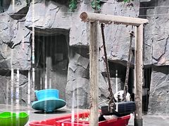 -栾川竹海野生动物园