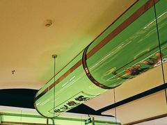 -洪氏嗨捞·广东猪肚鸡·椰子鸡火锅(西咸万象城店)