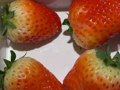 -海纳百川(义乌店)