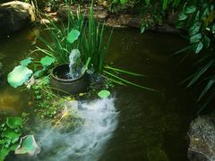 -金鸡山公园