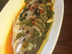 -七菜馆·东北菜·蒸饺(文体路店)