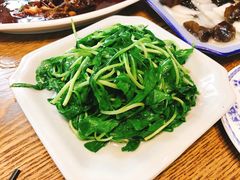 清炒马兰头-烟雨人家(塔湾街店)