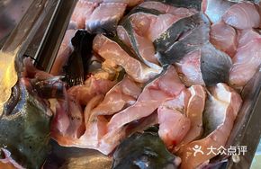 梭边鱼（鲜活）