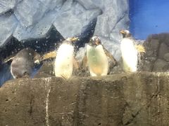 -成都浩海立方海洋公园