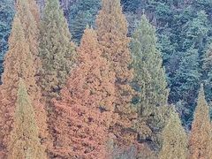 -西湖风景区十里琅珰-五云山