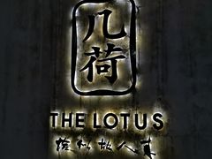 -几荷·恰似故人来(秀水广场店)