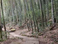 -缙云山景区