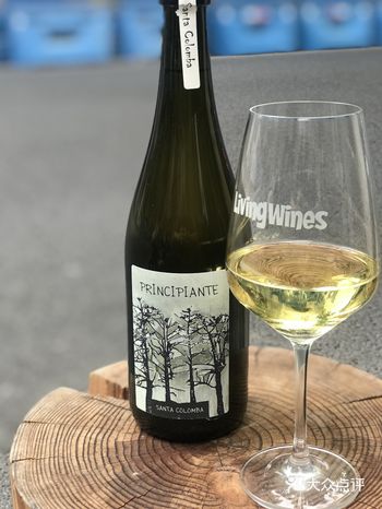 Wine仔的微醺日记|梦回夏日树林