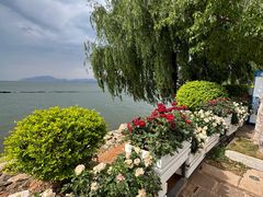 -大理洱海