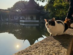 -西园寺素食(西园弄戒幢律寺店)