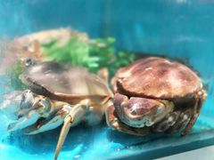 -华润苏果超市(庐江文昌中路购物广场店)