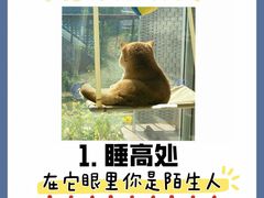 -纳吉亚猫专科动物诊疗中心(蒋宅口分院)