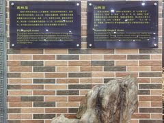 -游龙石文化科普馆